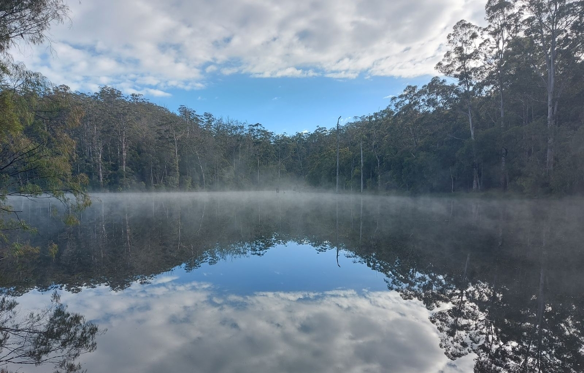 Mist Over Water - Clive Bond
